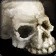 Skull of Burning Shadows icon
