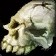 Skullstone Hammer icon