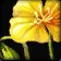 Lei of Lilies icon