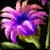 Penelope's Rose icon