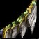 Sharpened Silithid Femur icon