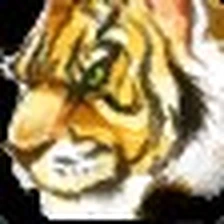 Swift Zulian Tiger, official Blizzard item icon