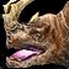 Great Brown Kodo, official Blizzard item icon