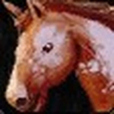 Palomino Bridle, official Blizzard item icon