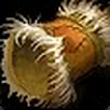 Sentinel Bracers, official Blizzard item icon