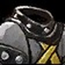 Black Whelp Tunic, official Blizzard item icon