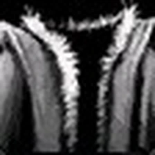 Antiquated Nobleman's Tunic, official Blizzard item icon