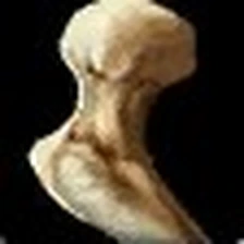 Basilisk Bone, official Blizzard item icon
