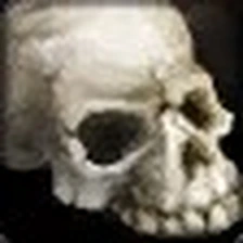 Skull of Burning Shadows, official Blizzard item icon