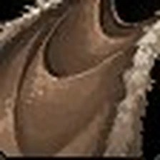 Wolfmaster Cape, official Blizzard item icon