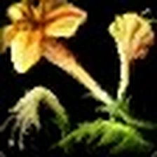 Grace of Earth, official Blizzard item icon