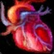 Shriveled Heart, official Blizzard item icon