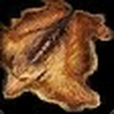 Buckskin Cape, official Blizzard item icon
