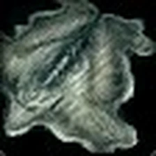 Fenrus' Hide, official Blizzard item icon