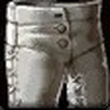 Sage's Pants, official Blizzard item icon