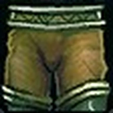 Blighted Leggings, official Blizzard item icon
