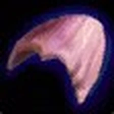 Husk of the Old God, official Blizzard item icon