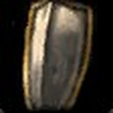 Bonelink Wall Shield, official Blizzard item icon