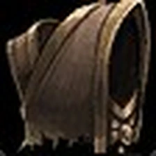Barkshell Tunic, official Blizzard item icon