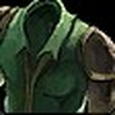 Ivycloth Tunic, official Blizzard item icon