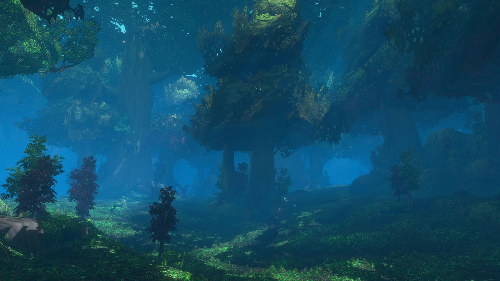 Blue-lit dense forest
