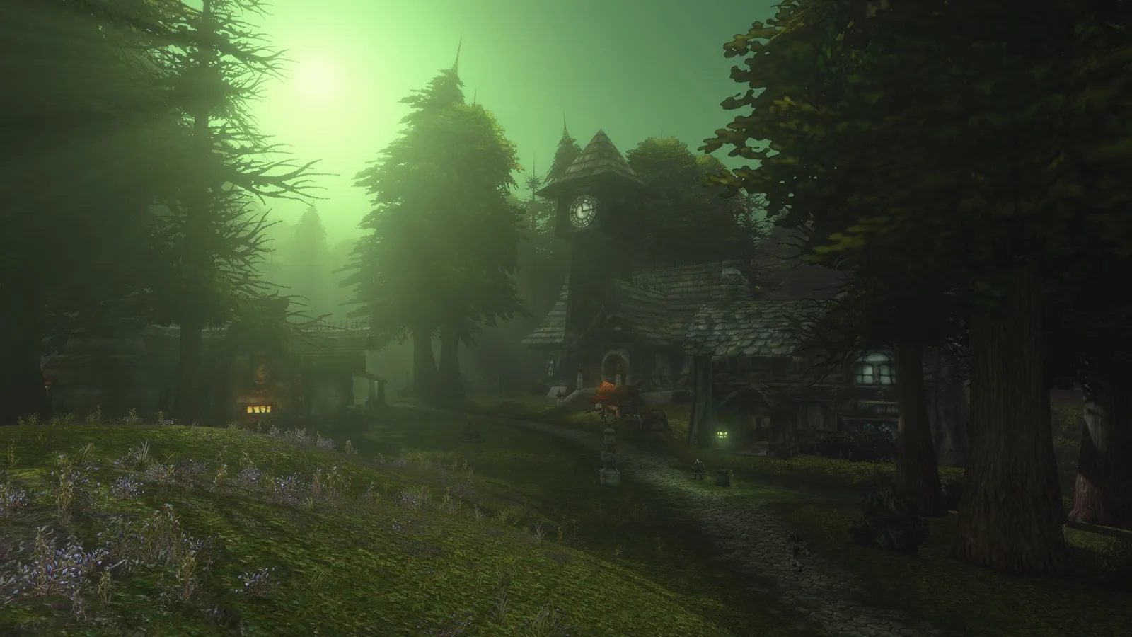 Misty green forest